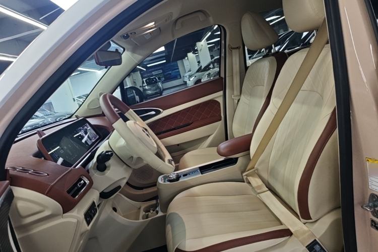 Used ORA Good Cat 2023 401 km Standard Range Luxury Version Lithium Iron Phosphate Left Front Seat