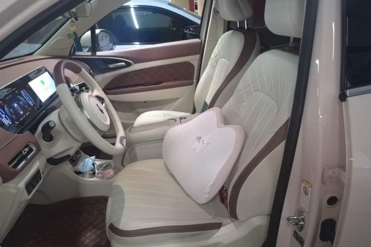Used ORA Good Cat 2023 401 km Standard Range Premium Version Lithium Iron Phosphate Left Front Seat
