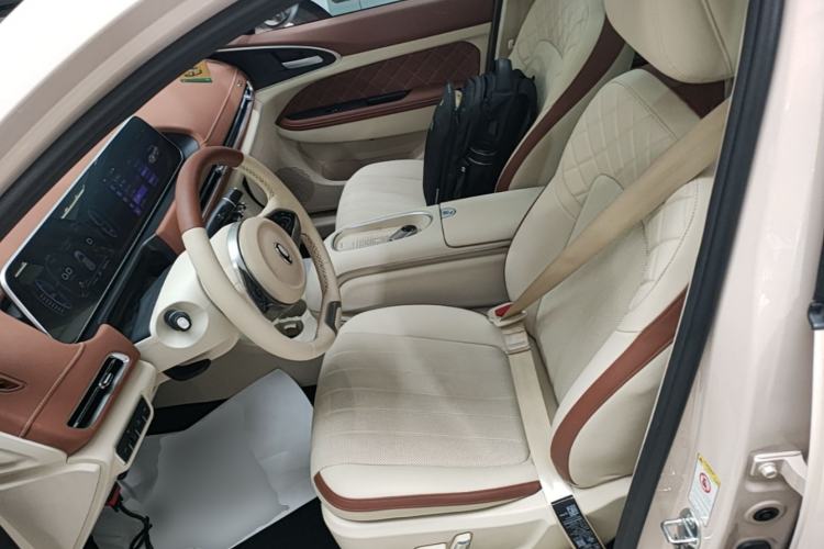 Used ORA Good Cat 2023 401 km Standard Range Premium Version Lithium Iron Phosphate Left Front Seat