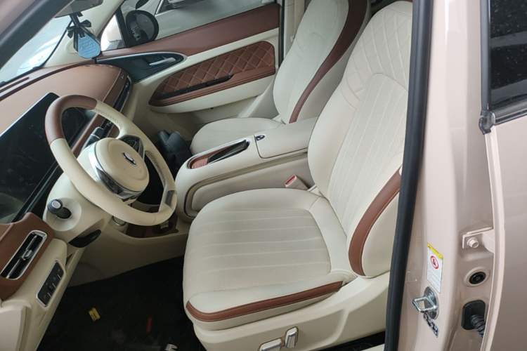 Used ORA Good Cat 2023 401 km Standard Range Premium Version Lithium Iron Phosphate Left Front Seat