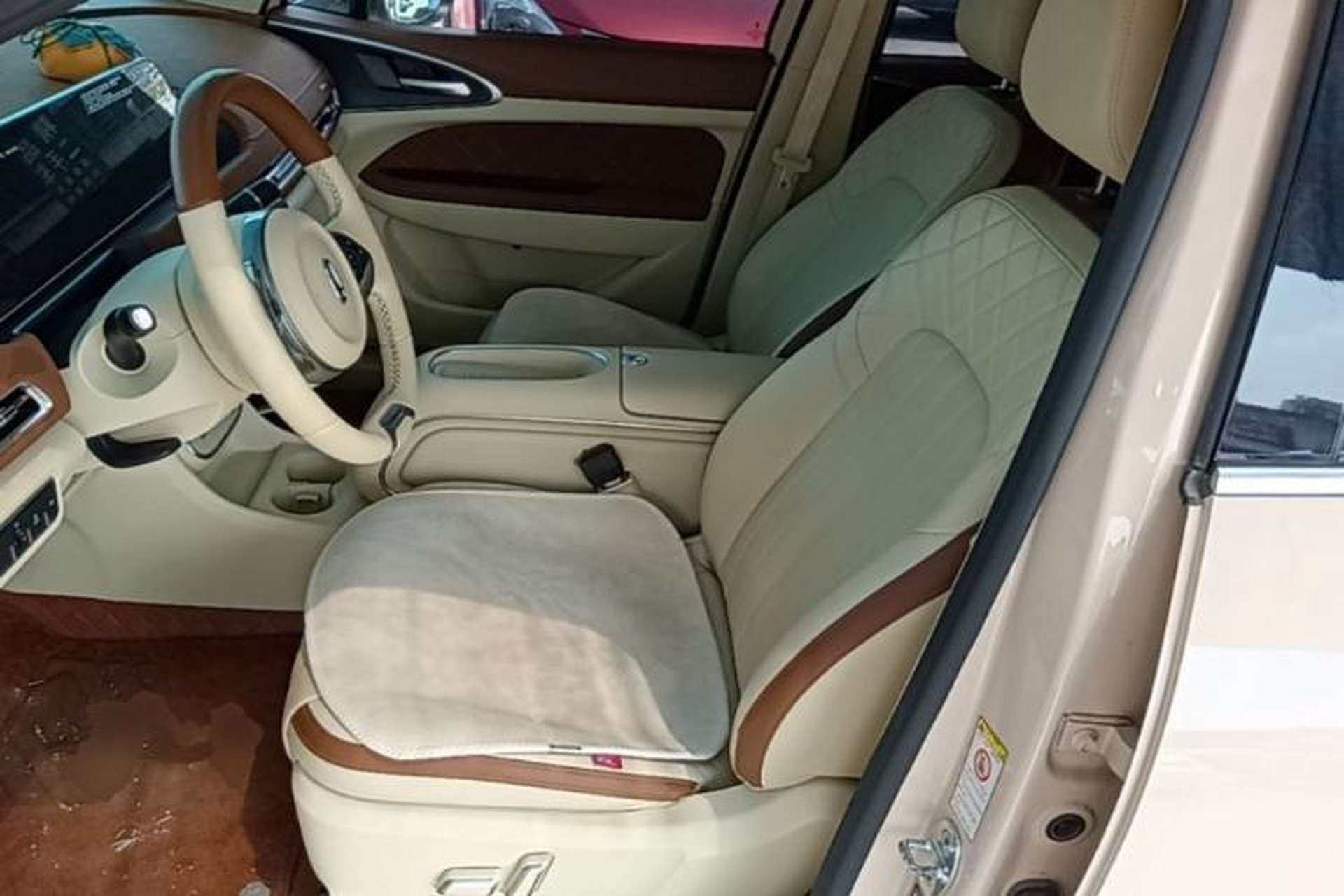 Used ORA Good Cat 2023 401 km Standard Range Luxury Version Lithium Iron Phosphate Left Front Seat