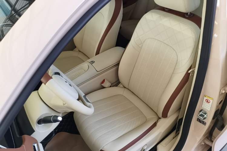 Used ORA Good Cat 2023 401 km Standard Range Premium Version Lithium Iron Phosphate Left Front Seat