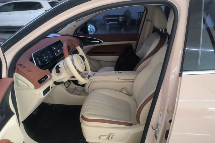 Used ORA Good Cat 2023 401 km Standard Range Luxury Version Lithium Iron Phosphate Left Front Seat