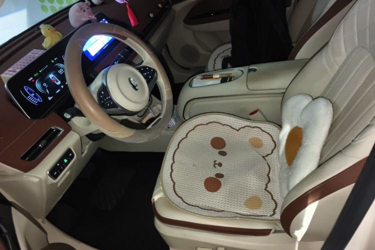 Used ORA Good Cat 2023 401 km Standard Range Premium Version Lithium Iron Phosphate Left Front Seat