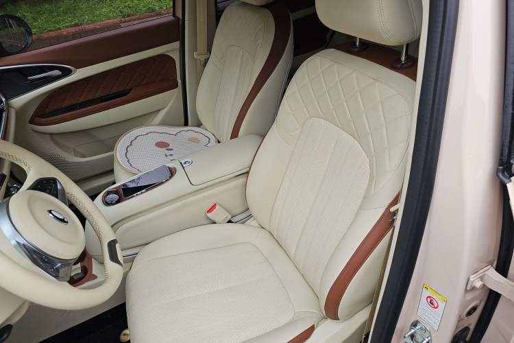 Used ORA Good Cat 2023 401 km Standard Range Premium Version Lithium Iron Phosphate Left Front Seat