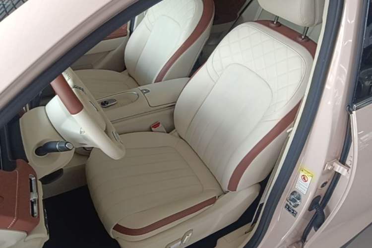 Used ORA Good Cat 2023 401 km Standard Range Luxury Version Lithium Iron Phosphate Left Front Seat