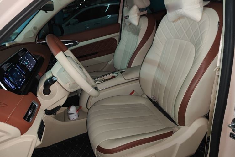 Used ORA Good Cat 2023 401 km Standard Range Luxury Version Lithium Iron Phosphate Left Front Seat