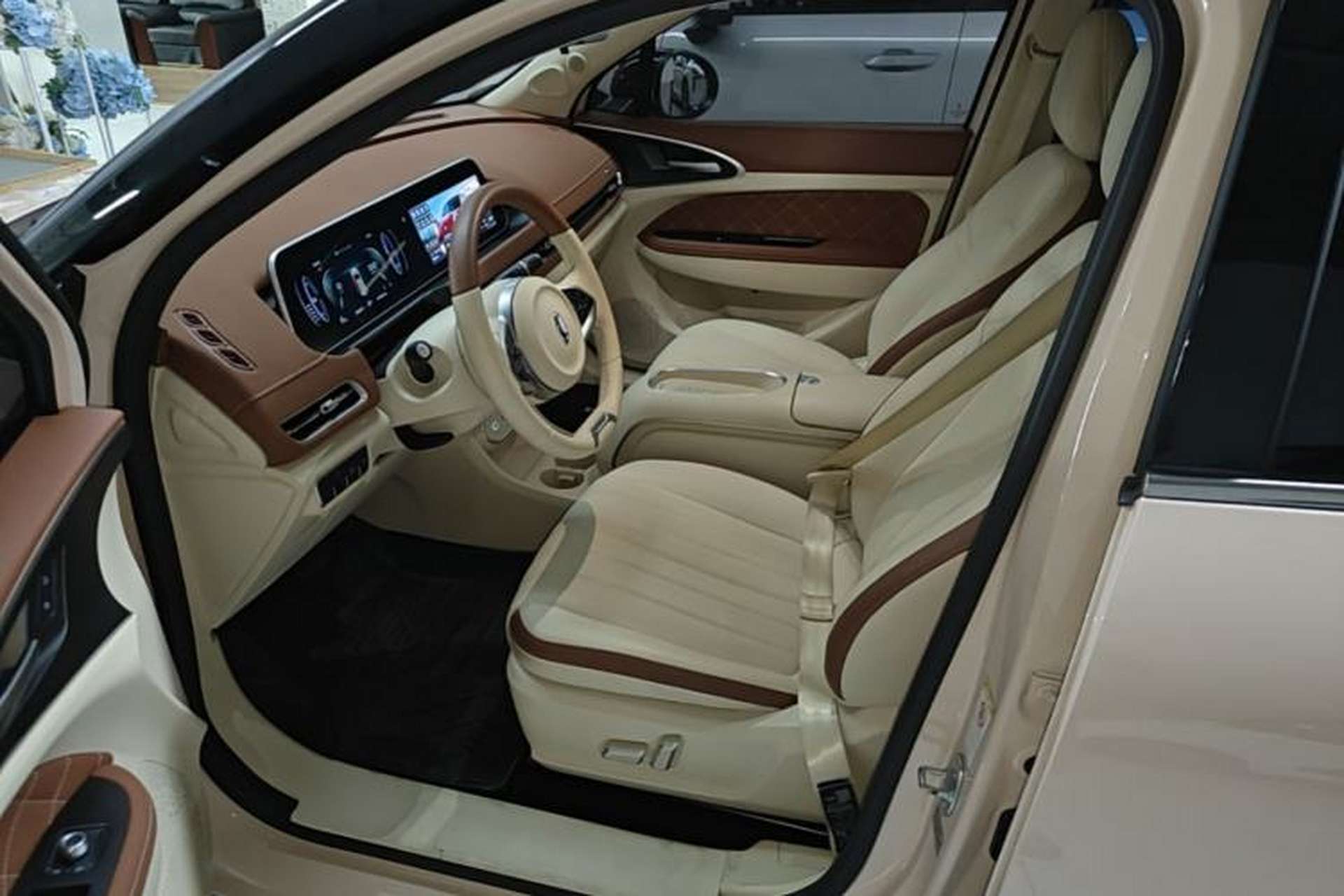 Used ORA Good Cat 2023 401 km Standard Range Luxury Version Lithium Iron Phosphate Left Front Seat