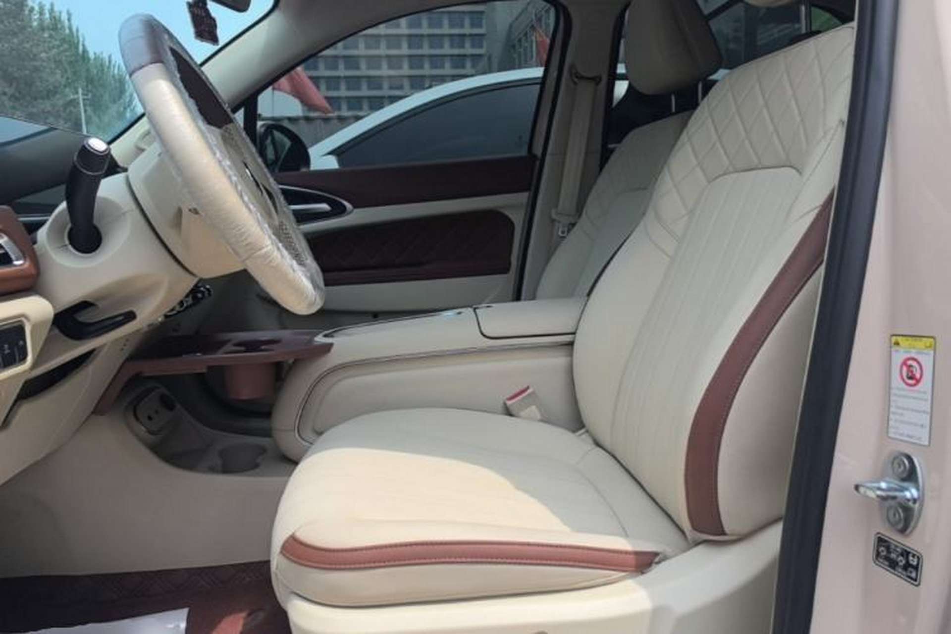 Used ORA Good Cat 2023 401 km Standard Range Luxury Version Lithium Iron Phosphate Left Front Seat
