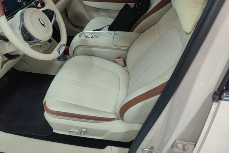 Used ORA Good Cat 2023 401 km Standard Range Luxury Version Lithium Iron Phosphate Left Front Seat