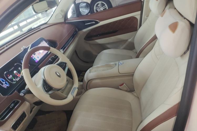 Used ORA Good Cat 2023 401 km Standard Range Premium Version Lithium Iron Phosphate Left Front Seat