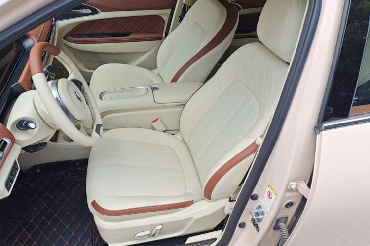 Used ORA Good Cat 2023 401 km Standard Range Prestige Version Lithium Iron Phosphate Left Front Seat