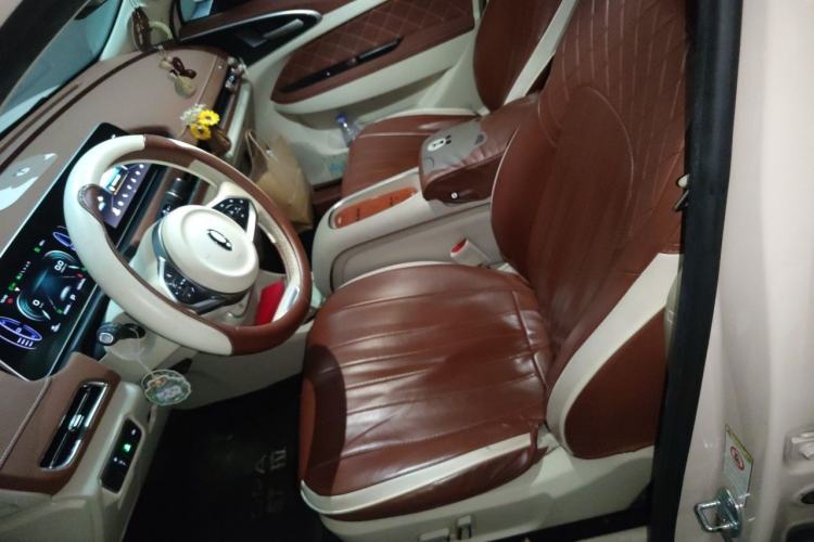 Used ORA Good Cat 2023 401 km Standard Range Luxury Version Lithium Iron Phosphate Left Front Seat