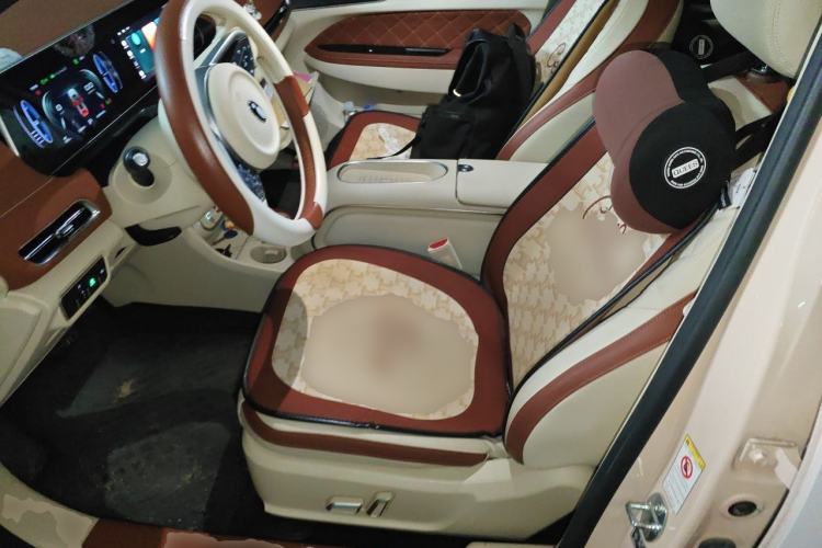 Used ORA Good Cat 2023 401 km Standard Range Luxury Version Lithium Iron Phosphate Left Front Seat