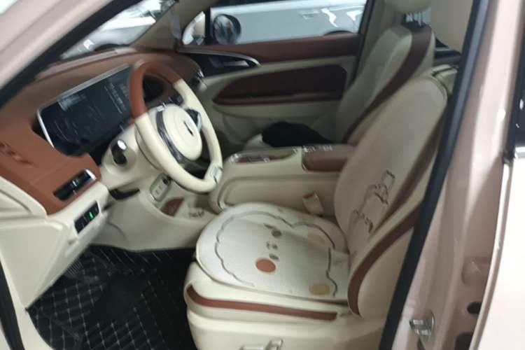 Used ORA Good Cat 2023 401 km Standard Range Luxury Version Lithium Iron Phosphate Left Front Seat