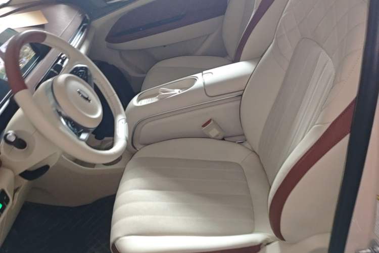 Used ORA Good Cat 2023 401 km Standard Range Premium Version Lithium Iron Phosphate Left Front Seat