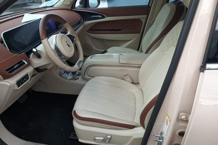 Used ORA Good Cat 2023 401 km Standard Range Luxury Version Lithium Iron Phosphate Left Front Seat