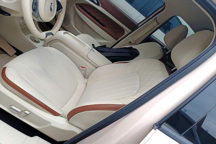 Used ORA Good Cat 2023 401 km Standard Range Premium Version Lithium Iron Phosphate Left Front Seat