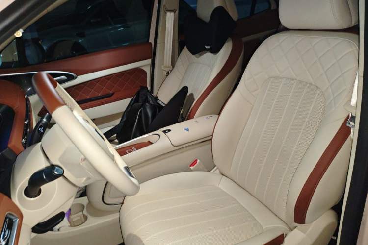 Used ORA Good Cat 2023 401 km Standard Range Luxury Version Lithium Iron Phosphate Left Front Seat