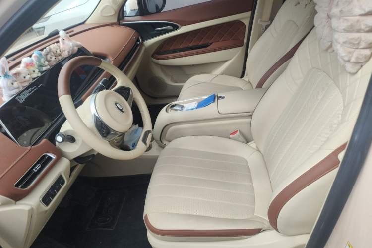 Used ORA Good Cat 2023 401 km Standard Range Prestige Version Lithium Iron Phosphate Left Front Seat
