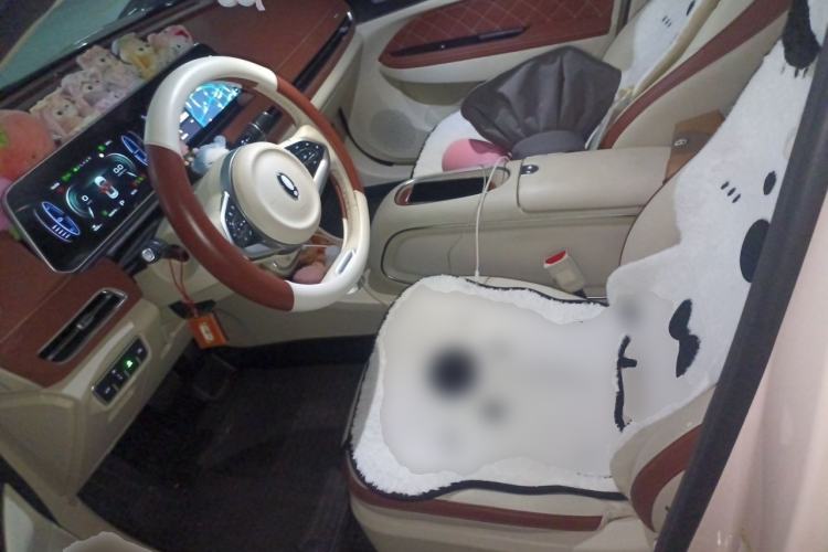 Used ORA Good Cat 2023 401 km Standard Range Premium Version Lithium Iron Phosphate Left Front Seat
