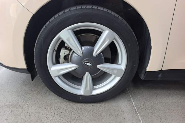 Used ORA Good Cat 2023 401 km Standard Range Premium Version Lithium Iron Phosphate Left Front Wheel Hub
