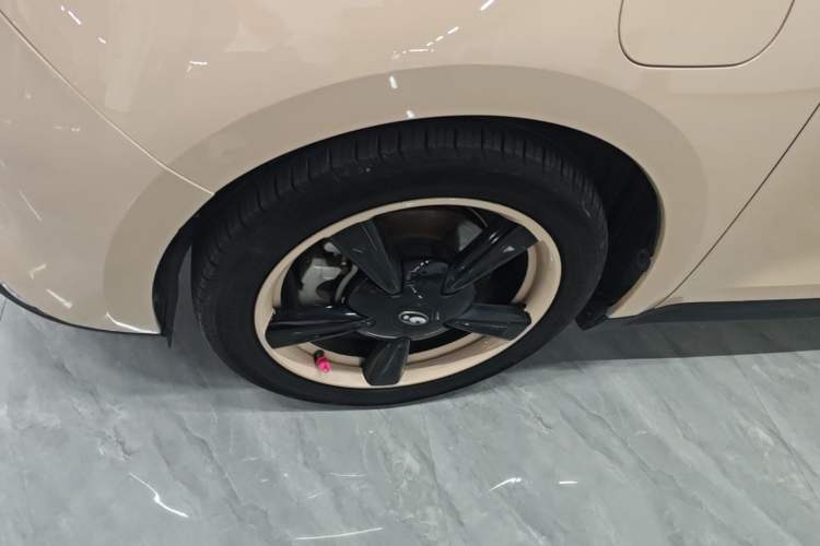 Used ORA Good Cat 2023 401 km Standard Range Prestige Version Lithium Iron Phosphate Left Front Wheel Hub
