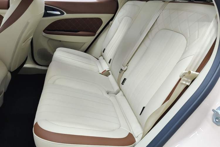 Used ORA Good Cat 2023 401 km Standard Range Luxury Version Lithium Iron Phosphate Left Rear Seat
