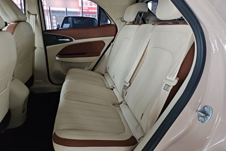 Used ORA Good Cat 2023 401 km Standard Range Luxury Version Lithium Iron Phosphate Left Rear Seat