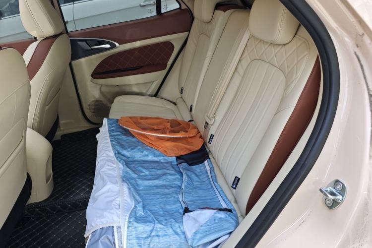 Used ORA Good Cat 2023 401 km Standard Range Prestige Version Lithium Iron Phosphate Left Rear Seat