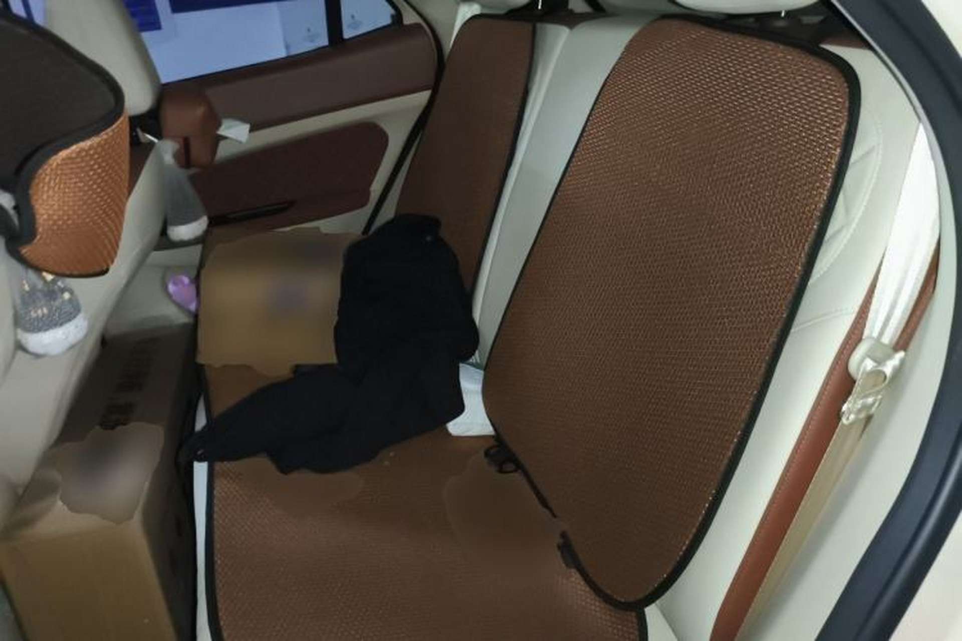 Used ORA Good Cat 2023 401 km Standard Range Comfort Version Lithium Iron Phosphate Left Rear Seat