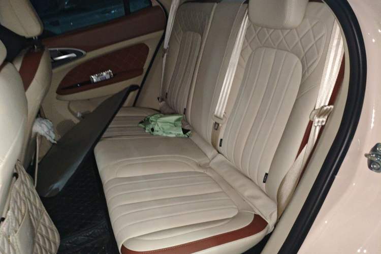 Used ORA Good Cat 2023 401 km Standard Range Luxury Version Lithium Iron Phosphate Left Rear Seat