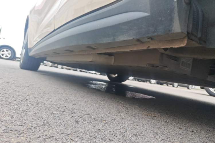 Used ORA Good Cat 2023 401 km Standard Range Luxury Version Lithium Iron Phosphate Left Side Sill
