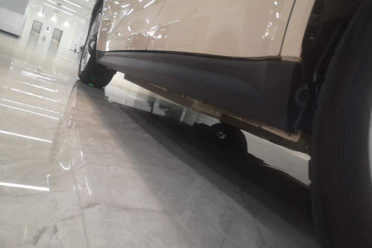 Used ORA Good Cat 2023 401 km Standard Range Luxury Version Lithium Iron Phosphate Left Side Sill