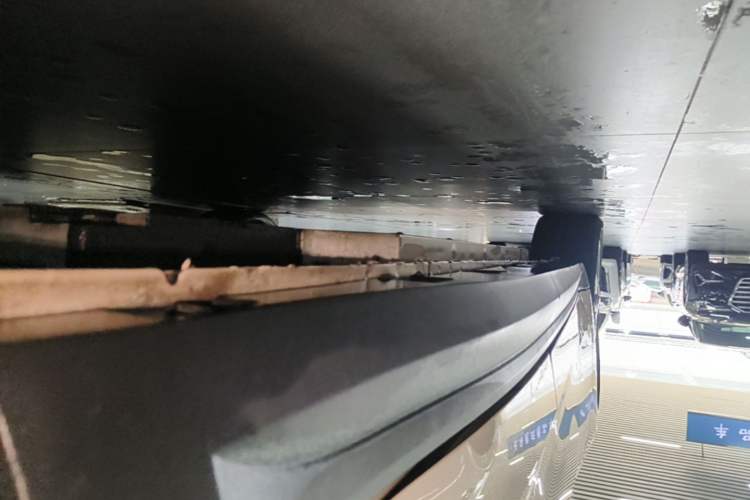 Used ORA Good Cat 2023 401 km Standard Range Prestige Version Lithium Iron Phosphate Left Side Sill