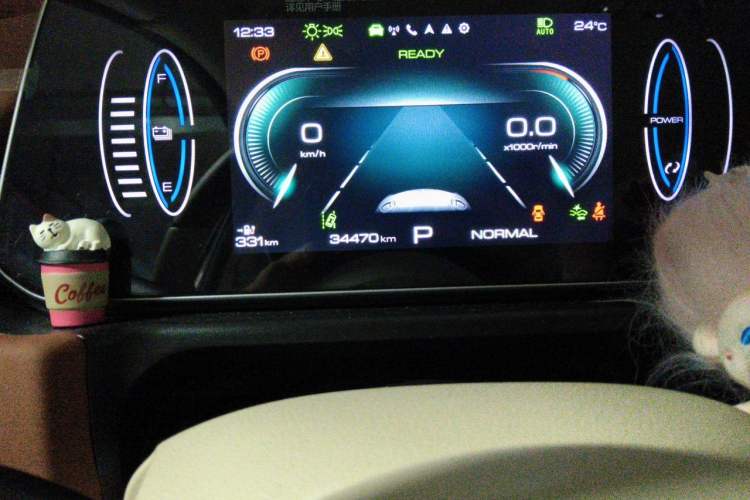 Used ORA Good Cat 2023 401 km Standard Range Luxury Version Lithium Iron Phosphate Odometer Close Up