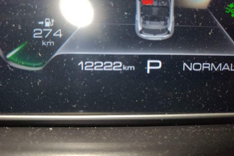 Used ORA Good Cat 2023 401 km Standard Range Prestige Version Lithium Iron Phosphate Odometer Close Up