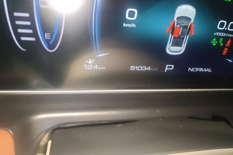 Used ORA Good Cat 2023 401 km Standard Range Luxury Version Lithium Iron Phosphate Odometer Close Up