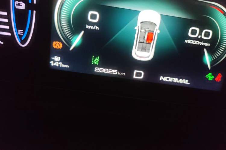 Used ORA Good Cat 2023 401 km Standard Range Luxury Version Lithium Iron Phosphate Odometer Close Up