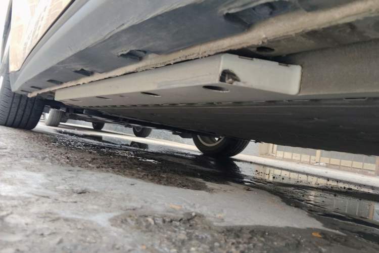 Used ORA Good Cat 2023 401 km Standard Range Luxury Version Lithium Iron Phosphate Chassis Rear Left