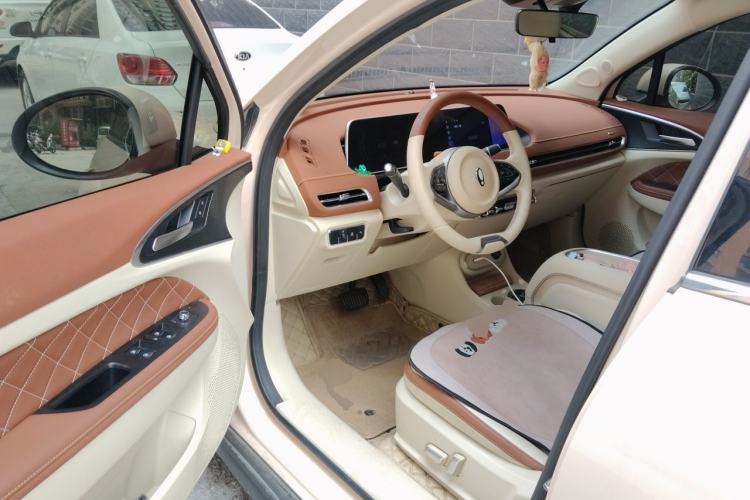 Used ORA Good Cat 2023 401 km Standard Range Luxury Version Lithium Iron Phosphate Driver Seat