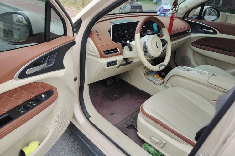 Used ORA Good Cat 2023 401 km Standard Range Luxury Version Lithium Iron Phosphate Driver Seat