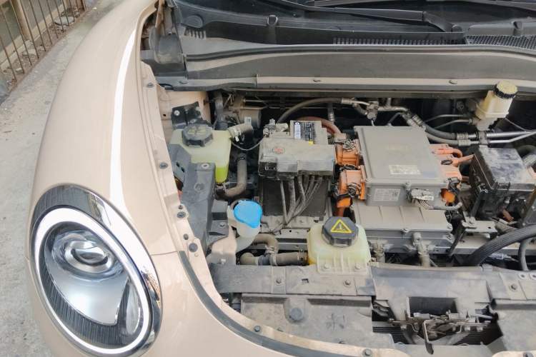 Used ORA Good Cat 2023 401 km Standard Range Luxury Version Lithium Iron Phosphate Engine Bay Right