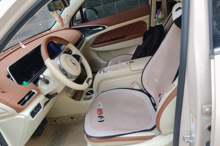 Used ORA Good Cat 2023 401 km Standard Range Luxury Version Lithium Iron Phosphate Left Front Seat