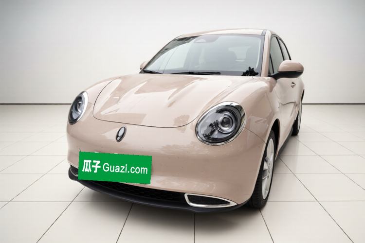 ORA Good Cat 2023 401 km Standard Range Luxury Version Lithium Iron Phosphate