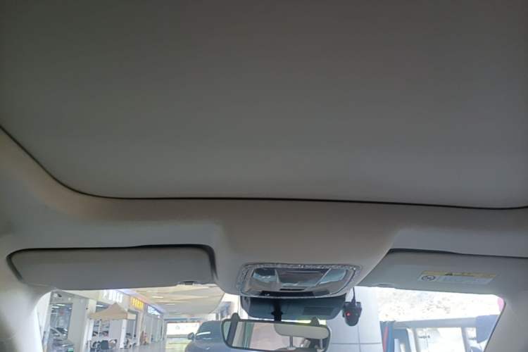 Used ORA Good Cat 2023 401 km Standard Range Premium Version Lithium Iron Phosphate Headliner