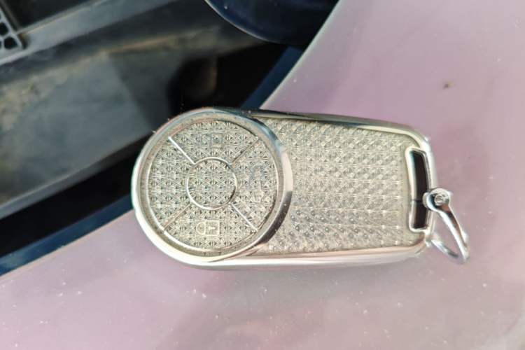 Used ORA Good Cat 2023 401 km Standard Range Premium Version Lithium Iron Phosphate Vehicle Key