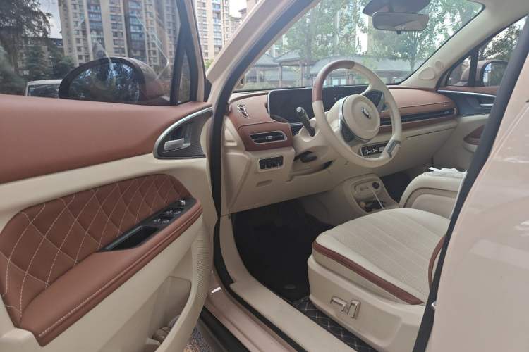 Used ORA Good Cat 2023 401 km Standard Range Premium Version Lithium Iron Phosphate Driver Seat
