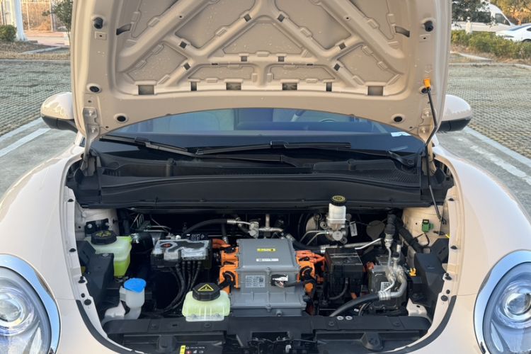 Used ORA Good Cat 2023 401 km Standard Range Luxury Version Lithium Iron Phosphate Engine Bay