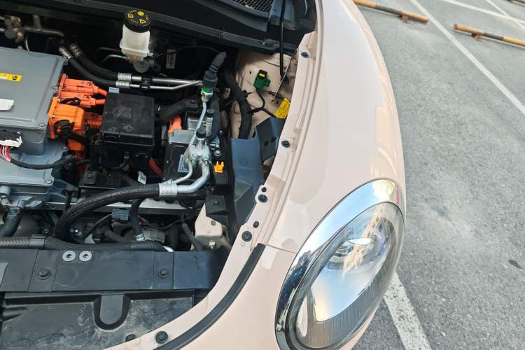 Used ORA Good Cat 2023 401 km Standard Range Luxury Version Lithium Iron Phosphate Engine Bay Left